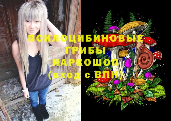 не бодяженный Каменка