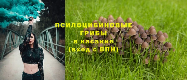 не бодяженный Каменка